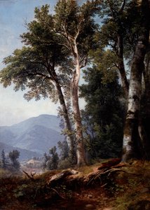 Boslandschap, ca. 1850 (olieverf op doek)