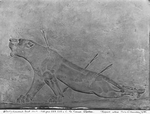 Gewonde leeuwin, detail van een reliëfpaneel dat Ashurbanipal II toont die leeuwen doodt, uit het Paleis van Ashurbanipal II, Nimrud, Irak, Neo-Assyrisch, 668-627 v.Chr.