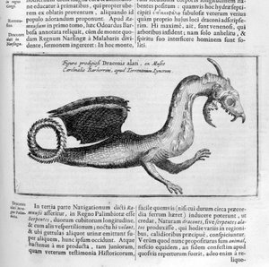 Draak, 1678 door Athanasius Kircher