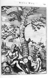 Stamboom van Adam, 1675 door Athanasius Kircher