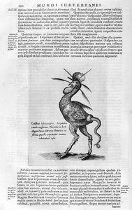 Mythische wezens, 1678 door Athanasius Kircher