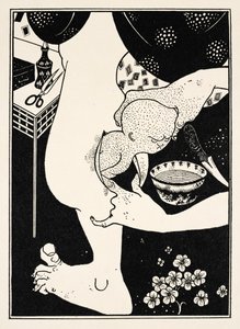 Geboorte uit de kuit van het been, illustratie uit 