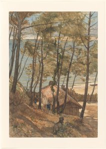 Gezicht vanaf een heuvel op een huisje aan de golf van Arcachon