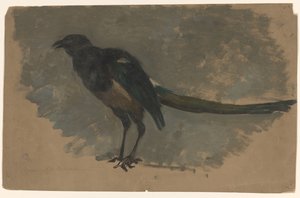 Studie van een ekster door August Allebe