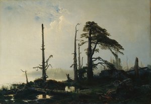 Meer in mist