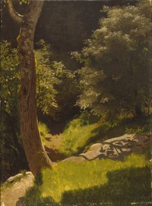 Parklandschap met tuinpad door August Cappelen