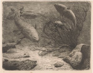 Aquarium