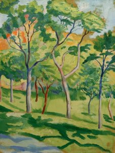 Bomen in de Weide door August Macke