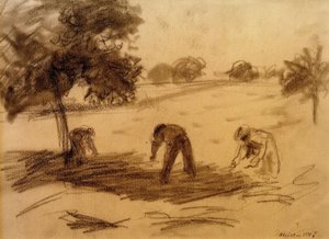 Veldwerk