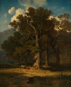 Boslandschap door August Maximilian Zimmermann
