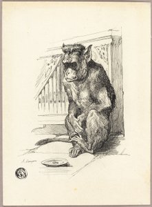 Bedelende aap door Auguste Andre Lancon