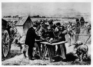 Vaccinatie van schapen door Pasteur, gravure door A. Lançon.