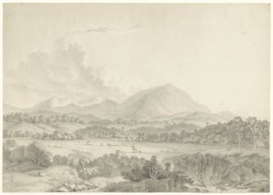 Javaans landschap