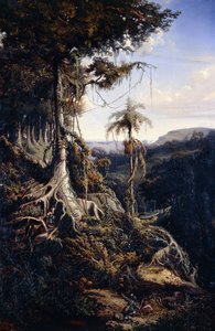 Jala-Jala Bos