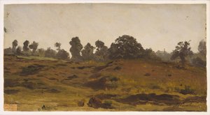 Uitzicht op een Veld