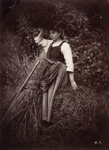 Boer