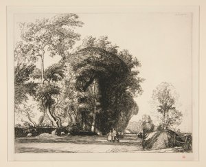 Het pad van Saint-Gilles (Saint-Jean-de-Monts)