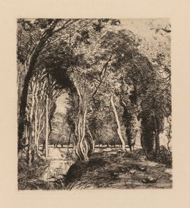 Auguste Lepère: Onder de Bomen, bij de Rigonette (Vendée) door Auguste Louis Lepère