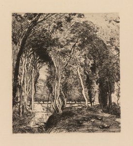 Auguste Lepère: Sous bois, à la Rigonette Vendée door Auguste Louis Lepère