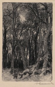Fontainebleau Bos: Bas-Bréau, 1890 door Auguste Louis Lepère