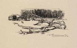 Fontainebleau Bos: Carrefour de l