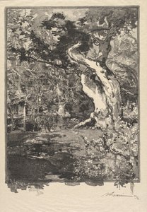 Fontainebleau Bos: Le Clovis, Plateau de Bellecroix La Forêt de Fontainebleau..., 1890 door Auguste Louis Lepère
