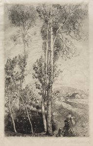 De kleine vijver door Auguste Louis Lepère