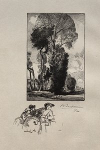Het bos