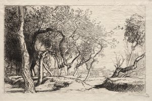 De Gedraaide Boom, 1915 door Auguste Louis Lepère