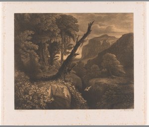 Berglandschap met vogel vliegend door een ravijn door Auguste Numans