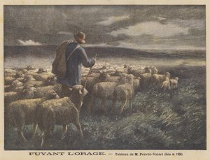 Vluchten voor de Storm