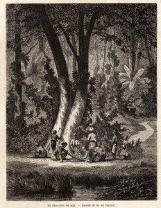 Het plukken van Syri, of betel, waarvan het met kalk bedekte blad essentieel is voor de productie van lokale Chic. Tekening door M. de Molins, om zijn reis naar Java te illustreren