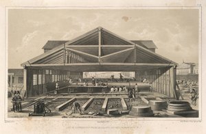 Steenhouwerij uit: De bouw van de Sint-Isaacskathedraal door Auguste de Montferrand
