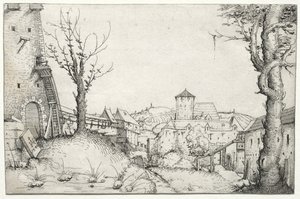 Binnenplaats van een Kasteel door Augustin Hirschvogel