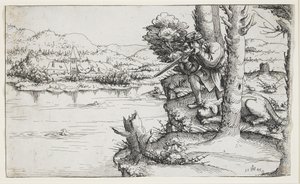 Eendenschieten met Vuurwapens, 1545 door Augustin Hirschvogel