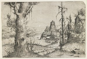 Grote boom en kasteel aan een meer