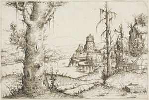 Rivierlandschap met Grote Boom op de Voorgrond door Augustin Hirschvogel