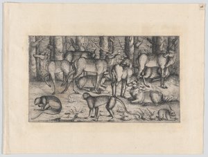 Herten in het bos, 1545 door Augustin Hirschvogel
