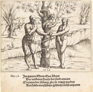 De Val van de Mens door Augustin Hirschvogel