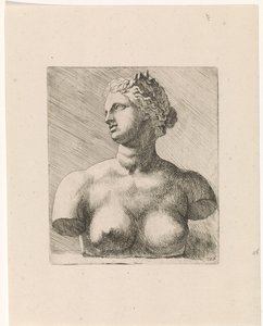 Buste van Venus de