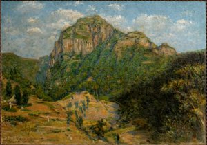Afrikaans landschap