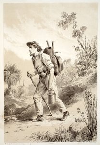 Digger op de Tramp, uit The History of Australasia door David Blair, McGrady, Thomson, en Niven, 1879 door Australian School