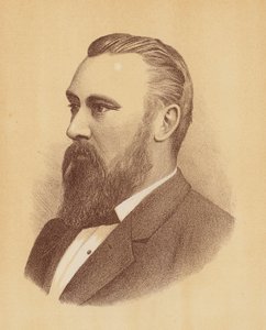 William John Lyne door Australian School