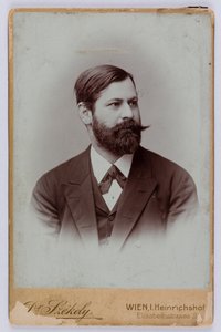 Sigmund Freud, Wenen