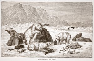 Eisbären überfallen unser Gepäck (Poolberen vallen onze bagage aan) pub. Wenen 1876