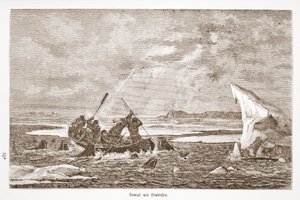 Gevecht met walrus, 1876 door Austrian School
