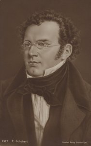 Portret van Franz Schubert