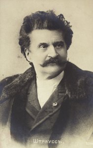 Portret van Johann Strauss II door Austrian School