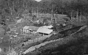 Fazenda de Criacao Campos do Jordao, Criacao Boerderij, 1895 door Axel Frick