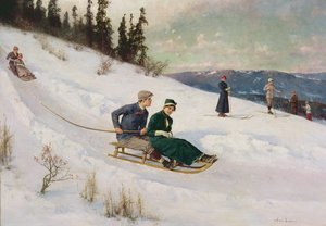 Sleeën en skiën